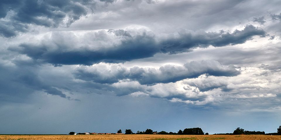 paysage agricole